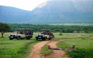 safari waterberg south africa